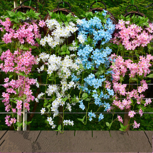 �������ӭ�����ڒ� �ٻ��ٗl���Ͻ�����������ֲ����b��҃�