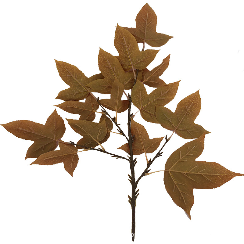 XRB-158 三角枫四叉枝4.jpg