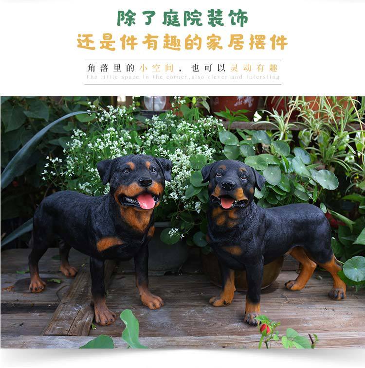 罗威纳犬_02.jpg