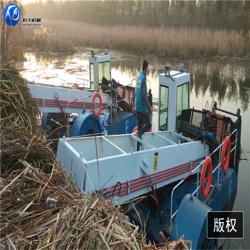 青州科大水草打捞船 全自动收割芦苇的船 多功能水面割草船现货