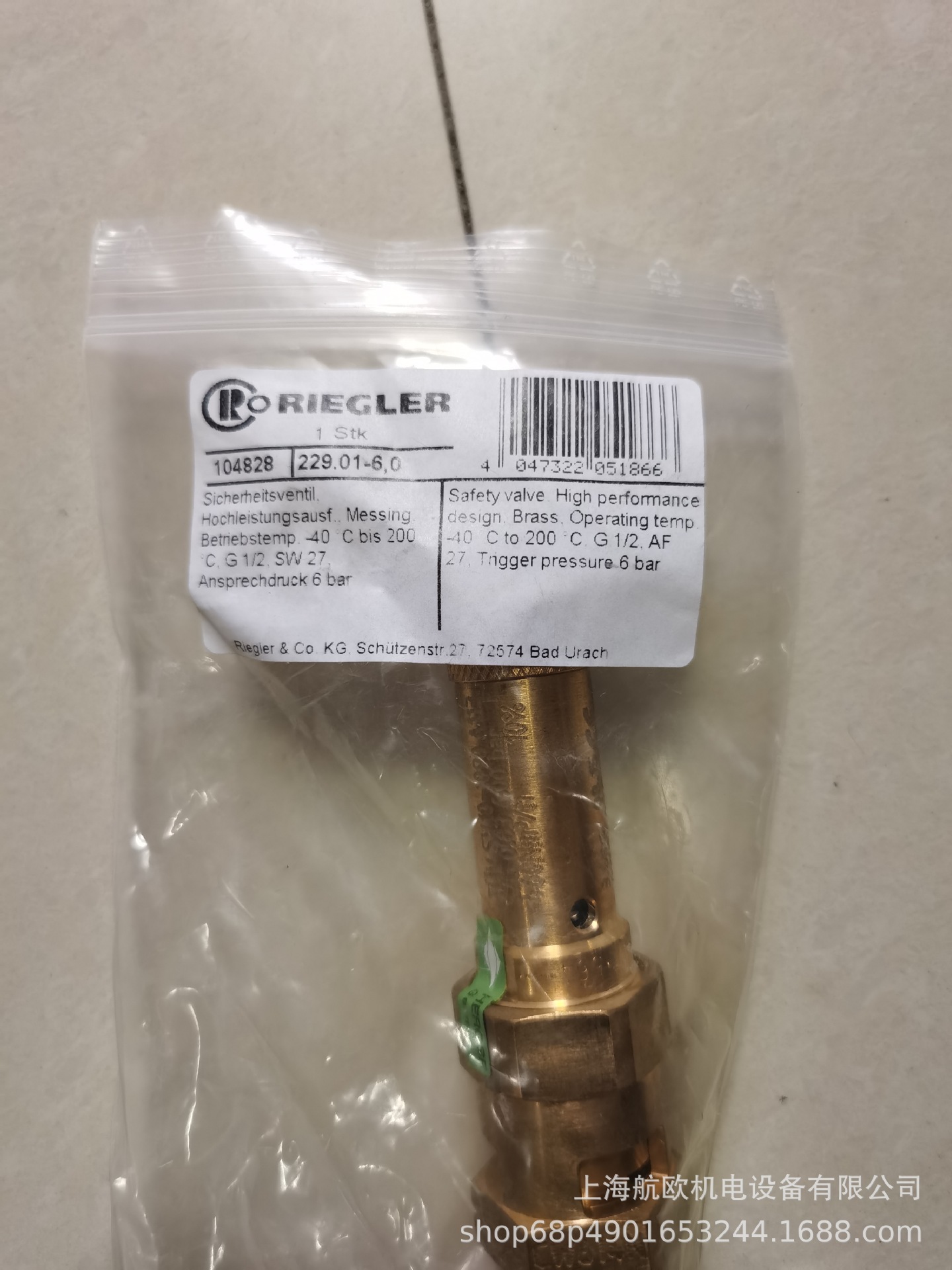 229.01-6.0   RIEGLER阀