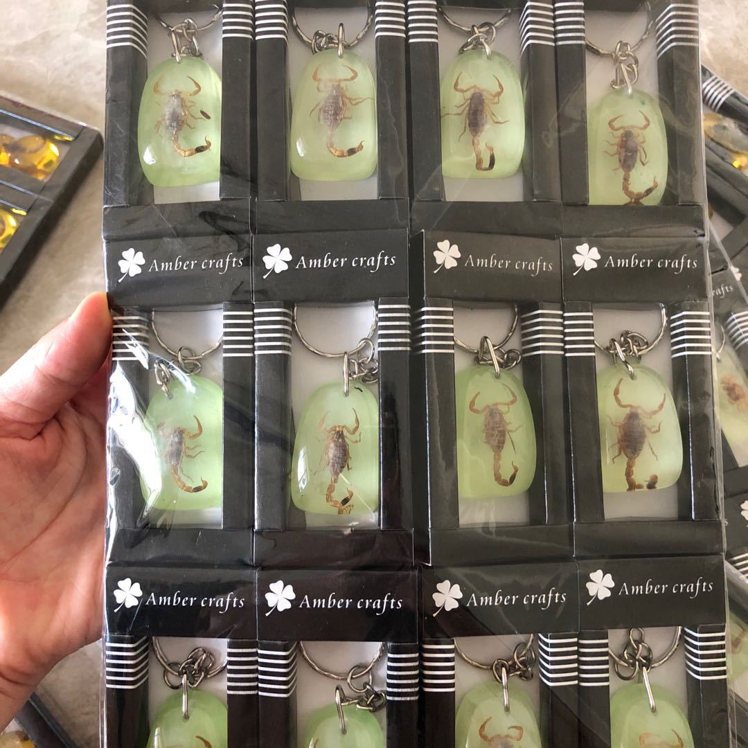 bc557eb2d209ca32fa509f16779927