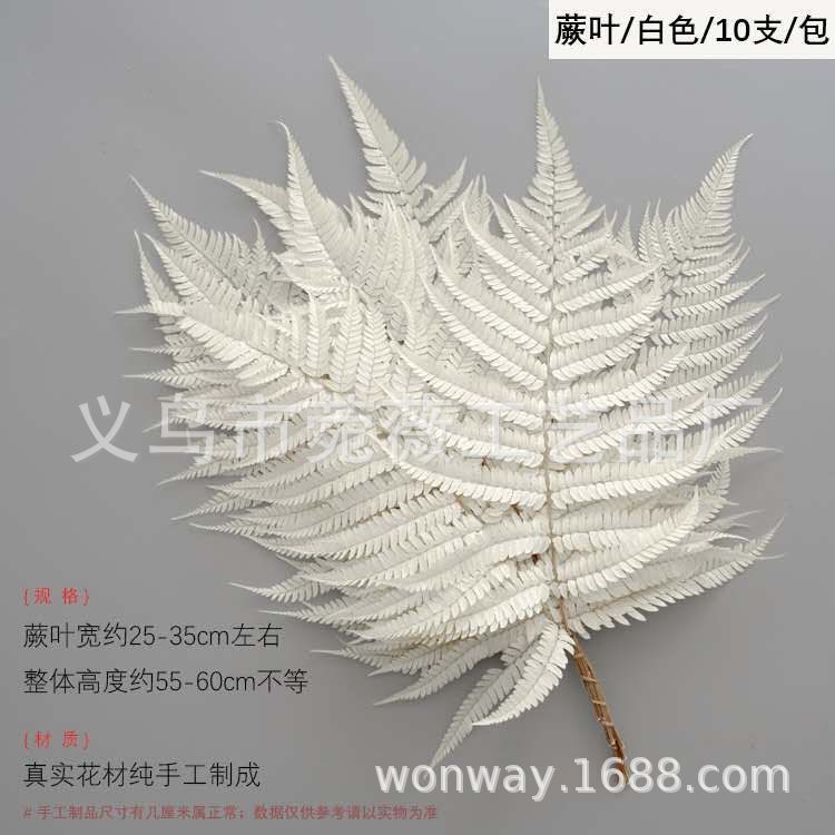 微信图片_20200601160113