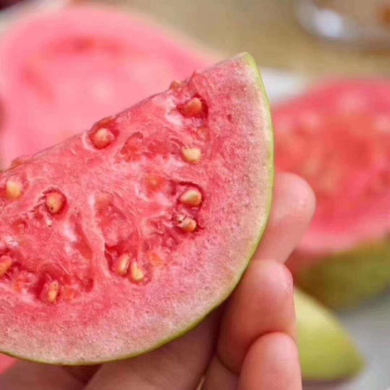 7c81e413a22dd177498698e7822ec3