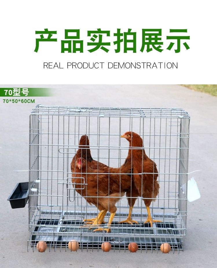 折叠蛋鸡笼_养殖笼铁丝笼养鸡笼子家用自动滚蛋鸡笼 - 阿里巴巴