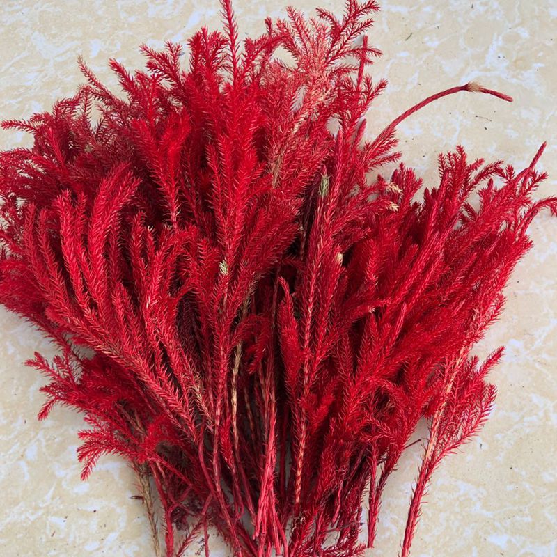 微信图片_20200221143005_副本