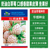 Cream strawberry, cute fruit eating bib, wholesale