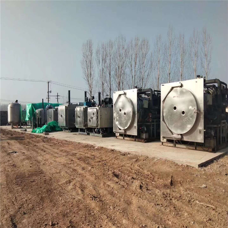 回收二手1-50平方真空冷冻干燥机  食品冻干机价格