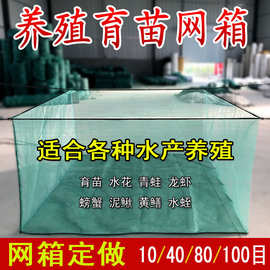 养殖网箱泥鳅黄鳝龙虾螃蟹养殖网箱存鱼育苗渔网箱定做加盖网箱