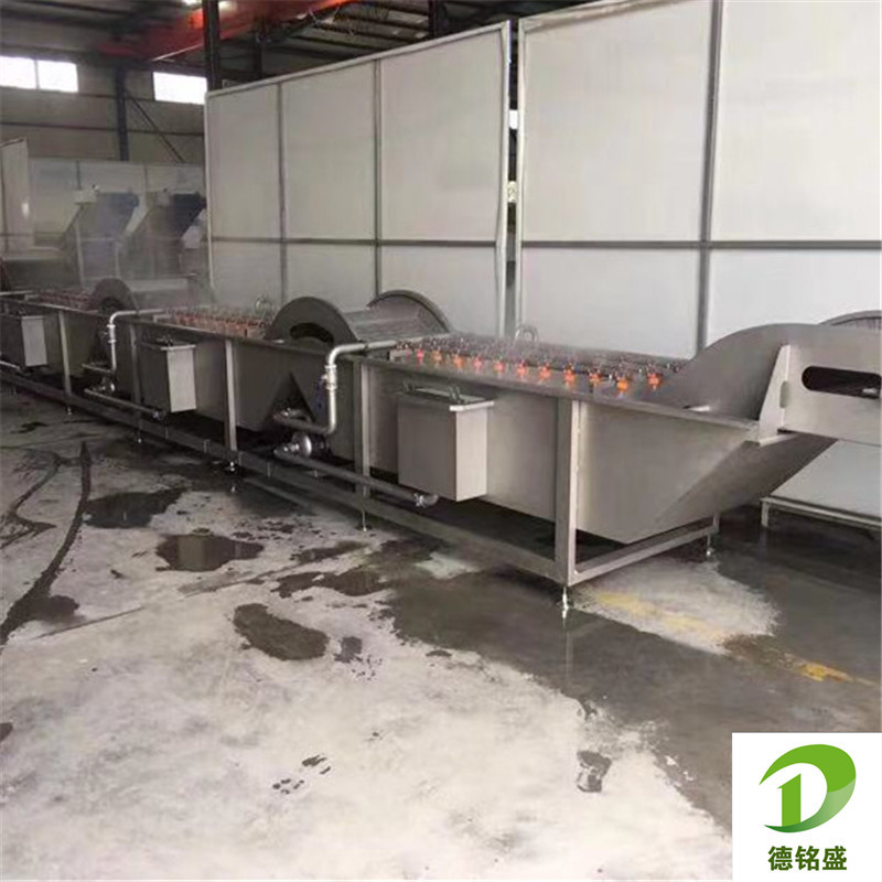 欢迎选购葡萄气泡清洗机 圣女果清洗风干线 赣南脐橙清洗机