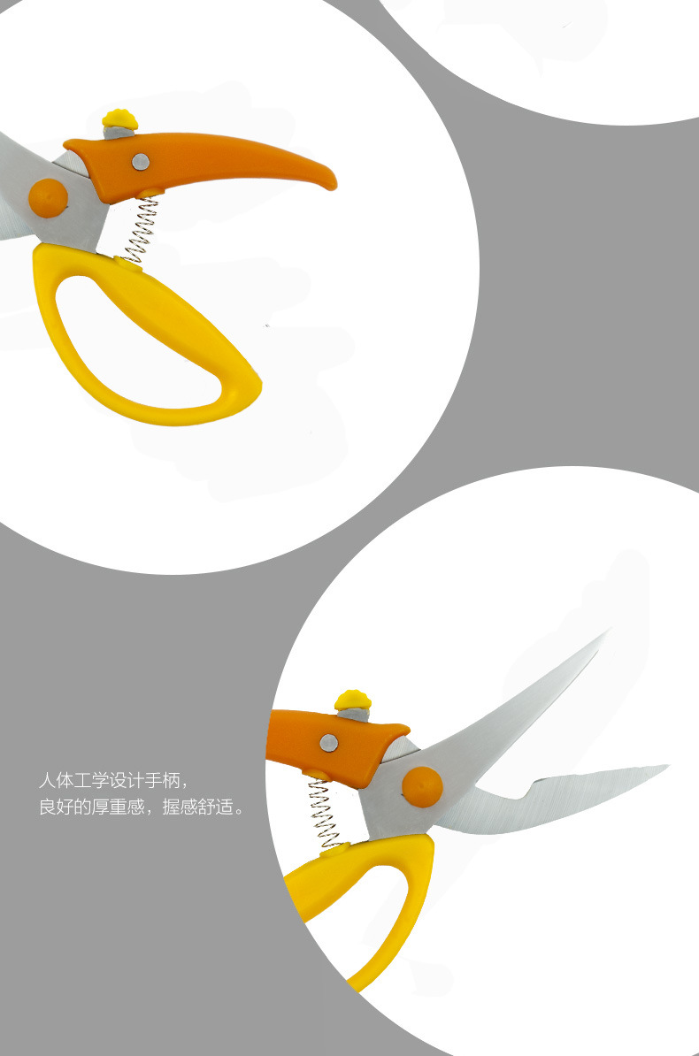 O1CN01S1XZ242KTcBAqyr25_!!2243