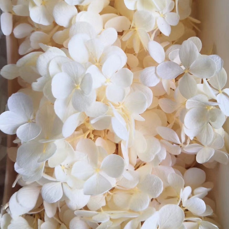 微信图片_20200421181932