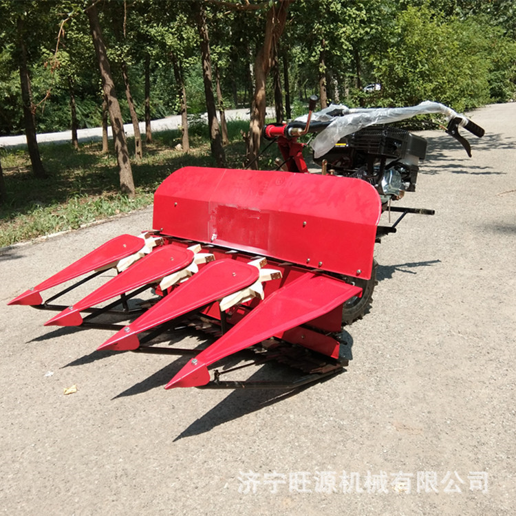 微信图片_201908180854443_副本.jpg