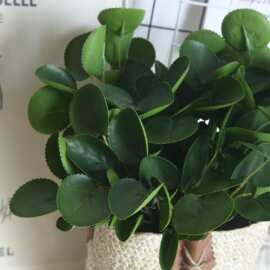 新款米兰树叶子金钱仿真花家居装饰禅意书房装饰墙植物墙绿色假花