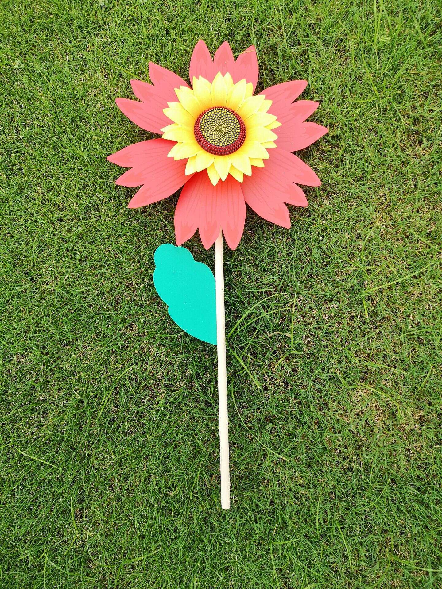 QQ图片20200622133640