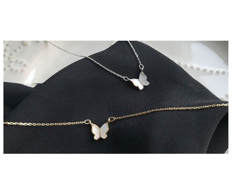 O1CN01p4LGWc2EVY8w0TR6n_!!8636