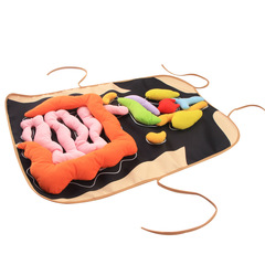 Infant toy human internal organs preschool teaching aids children's intellectual development 3D organ apron