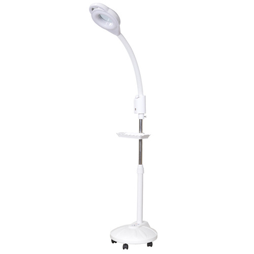 A one-piece dropshipping LED micro-needling lamp floor lamp beauty lamp shadowless warm and cool magnifying mirror nail and eyelash living room creative