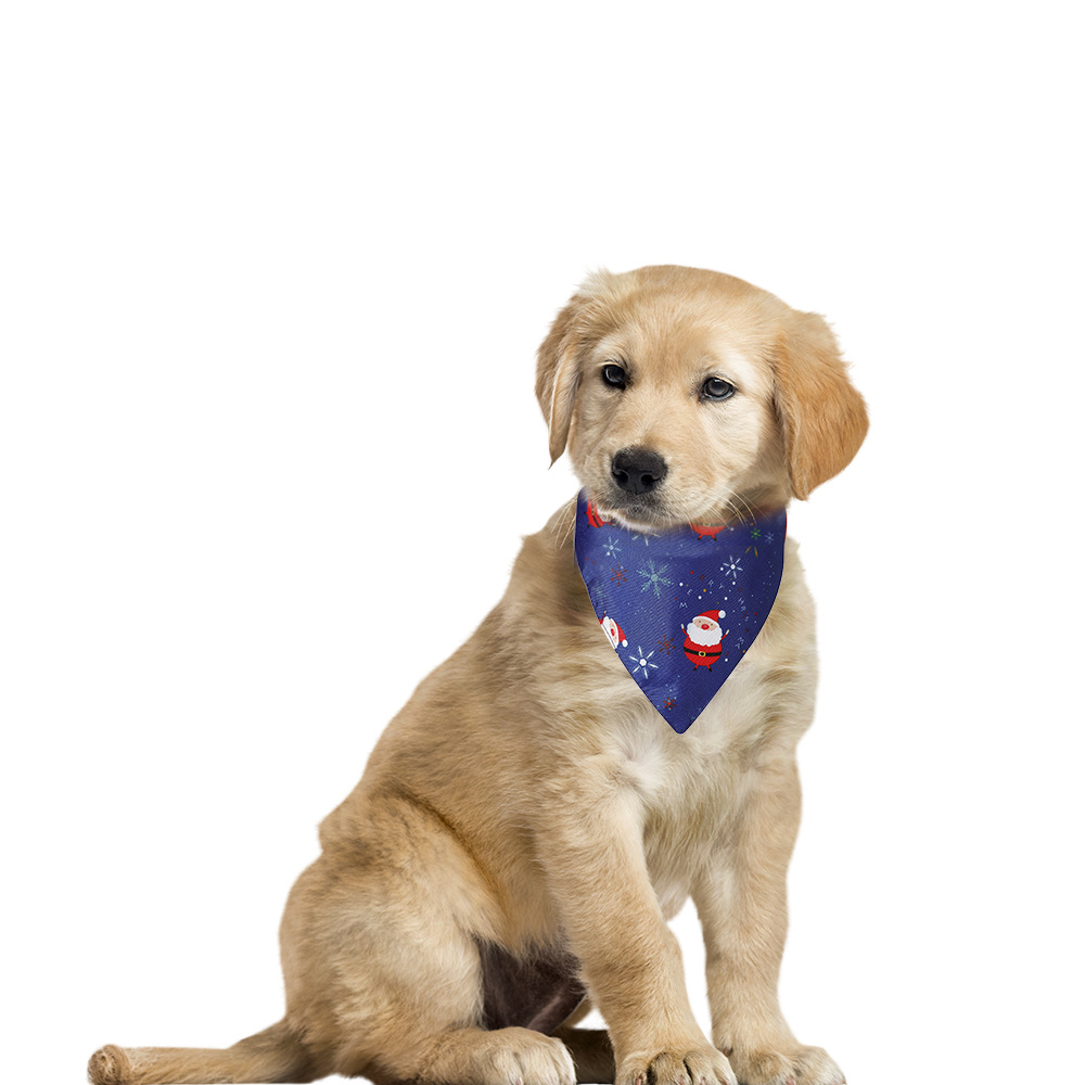 微信图片_20200918225234