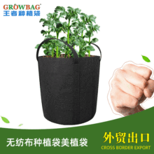 羳LֺɫoINֲֲֲӁgrow bag