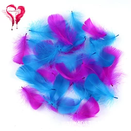 羽毛、羽绒;饰品配件;花边