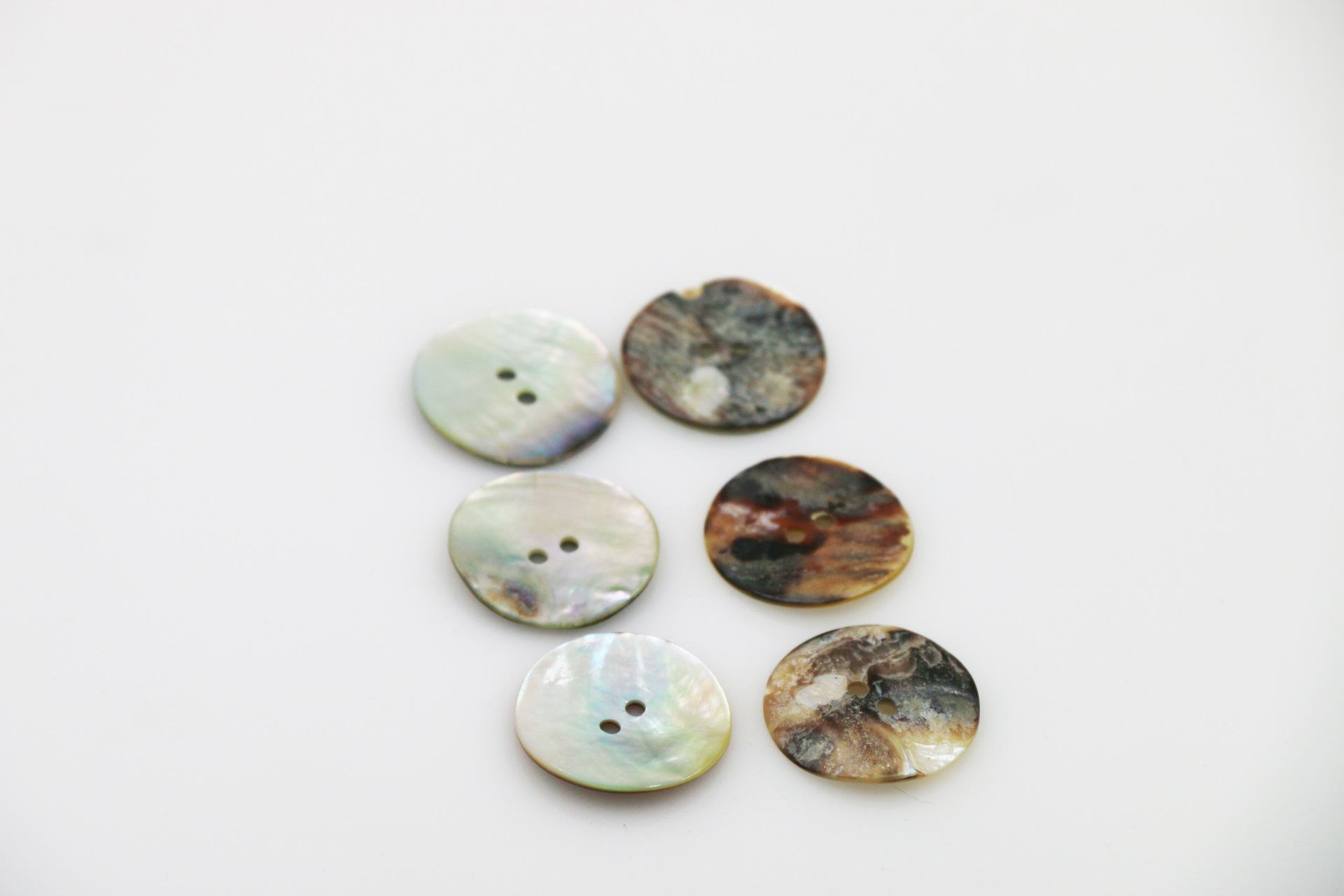 两眼马司贝 (6).JPG