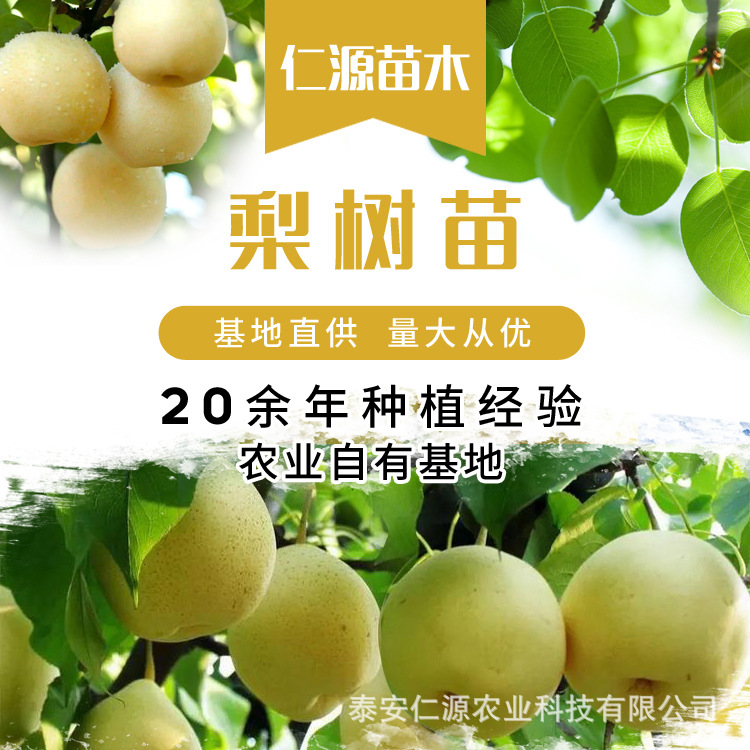 cc50f4db519ef368ba618aa1231d7d