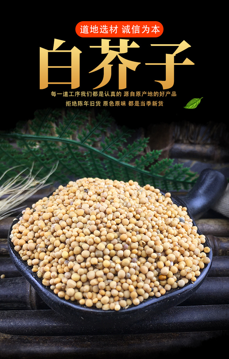 White Mustard Seed Bai Jie Zi 500g Dried Sinapis Alba Seeds Bulk Herbal Ingredient key features