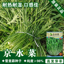 京水菜 京水菜品牌 图片 价格 京水菜批发 阿里巴巴