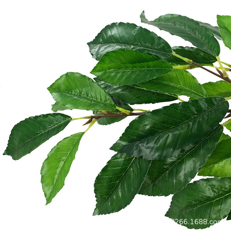 XRB-119 青杠叶四叉枝 (4).jpg