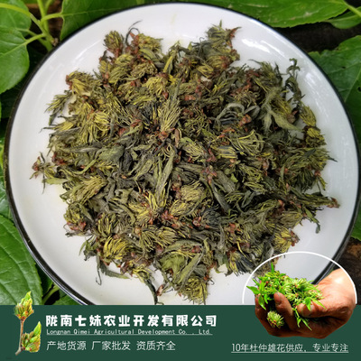 杜仲雄花茶 500克多花粉 花粉在表面一朵一朵的货很干 可直接打粉|ru