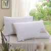 Fiber down pillow-white with black edges