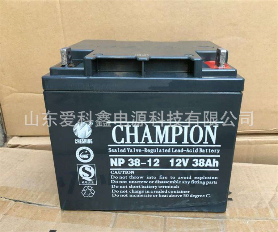 蓄电池NP38-12 蓄电池12V38AH 铅酸免维护UPS太阳能电瓶