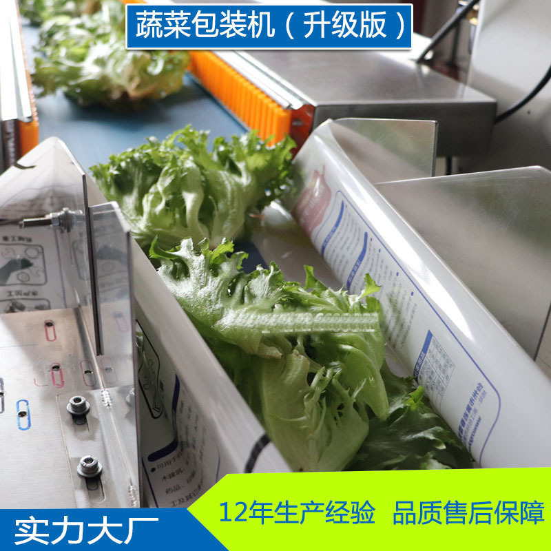 厂家直供 蔬菜包装机枕式塑料袋自动装袋封口机全自动果蔬包装机