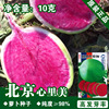 Radish seeds radish seeds Beijing Manchurian red fruit radish seeds Vegetable Vegetable Vegetable Vegetable Vegetable Raw Seed Company