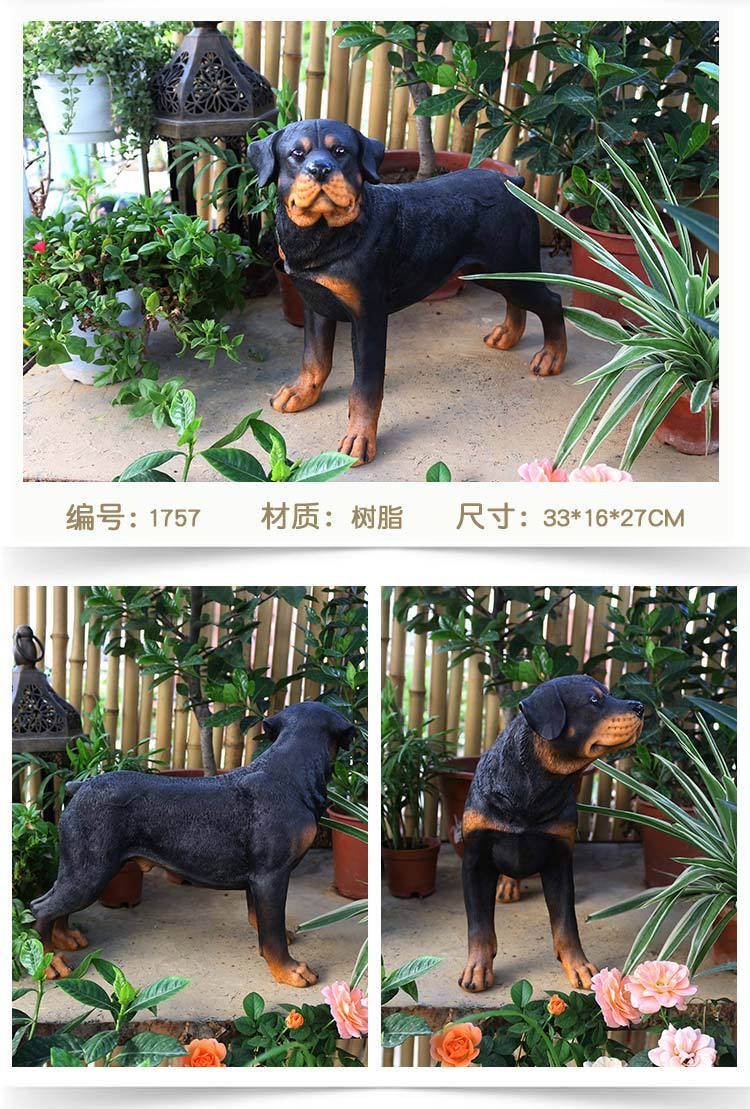 罗威纳犬_12.jpg