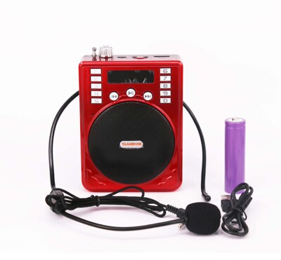 小蜜蜂多功能扩音器教师导游小音响喊话机老人插卡广场舞唱戏机|ru