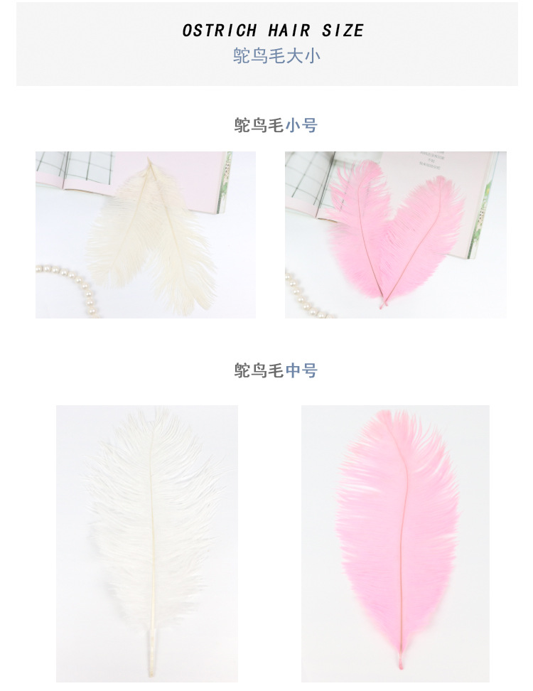 鸵鸟毛_05.jpg