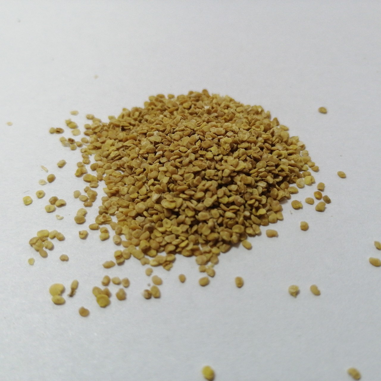宁夏茶叶艾杞枸杞种籽枸杞子种植工业提取物苟杞种子养生-阿里巴巴