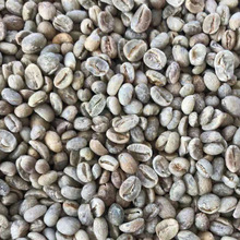 原廠地 雲南小粒咖啡13目以上 現貨大量批發咖啡生豆
