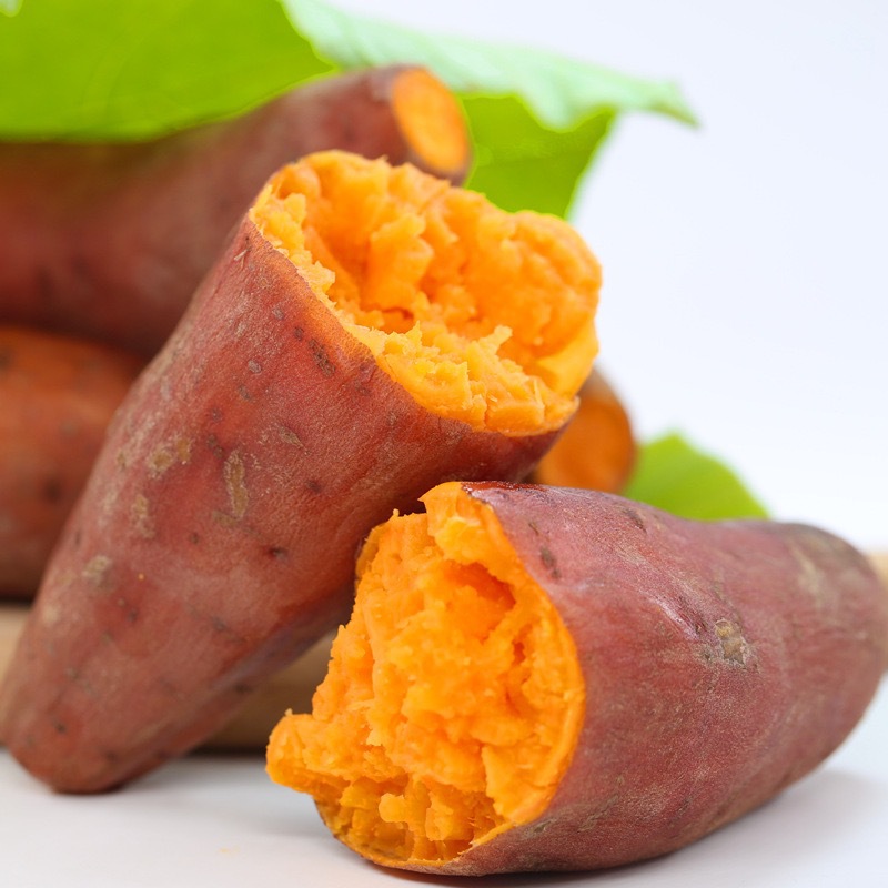 六鳌红蜜薯 漳浦六鳌地瓜 沙土现挖 新鲜生红薯 一件代发|ms