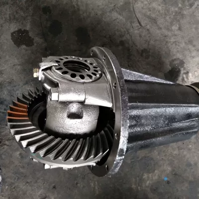 Rear Bridge Gearbox Durable – Differential assembly