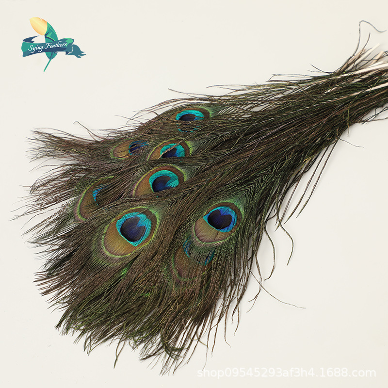 孔雀毛羽毛主图3.png