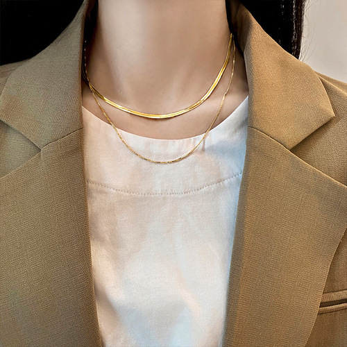 Simple double layer stacked necklace for women ins trendy personality hip hop European and American snake bone chain temperament internet celebrity short clavicle chain