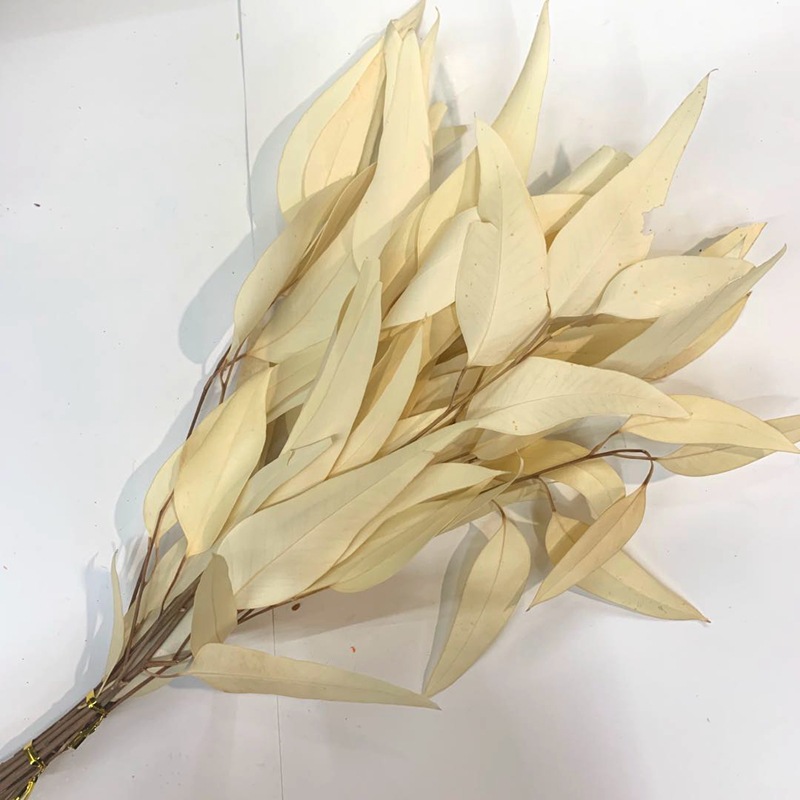 微信图片_20200423123602