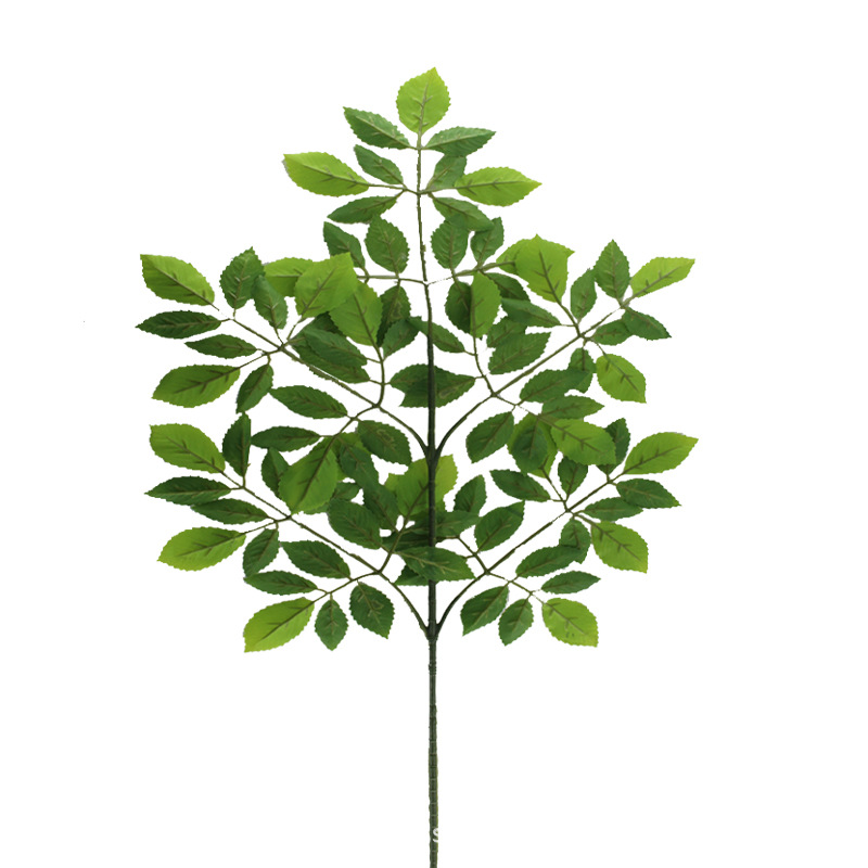 XRB-110 榆树叶五叉枝 1.jpg