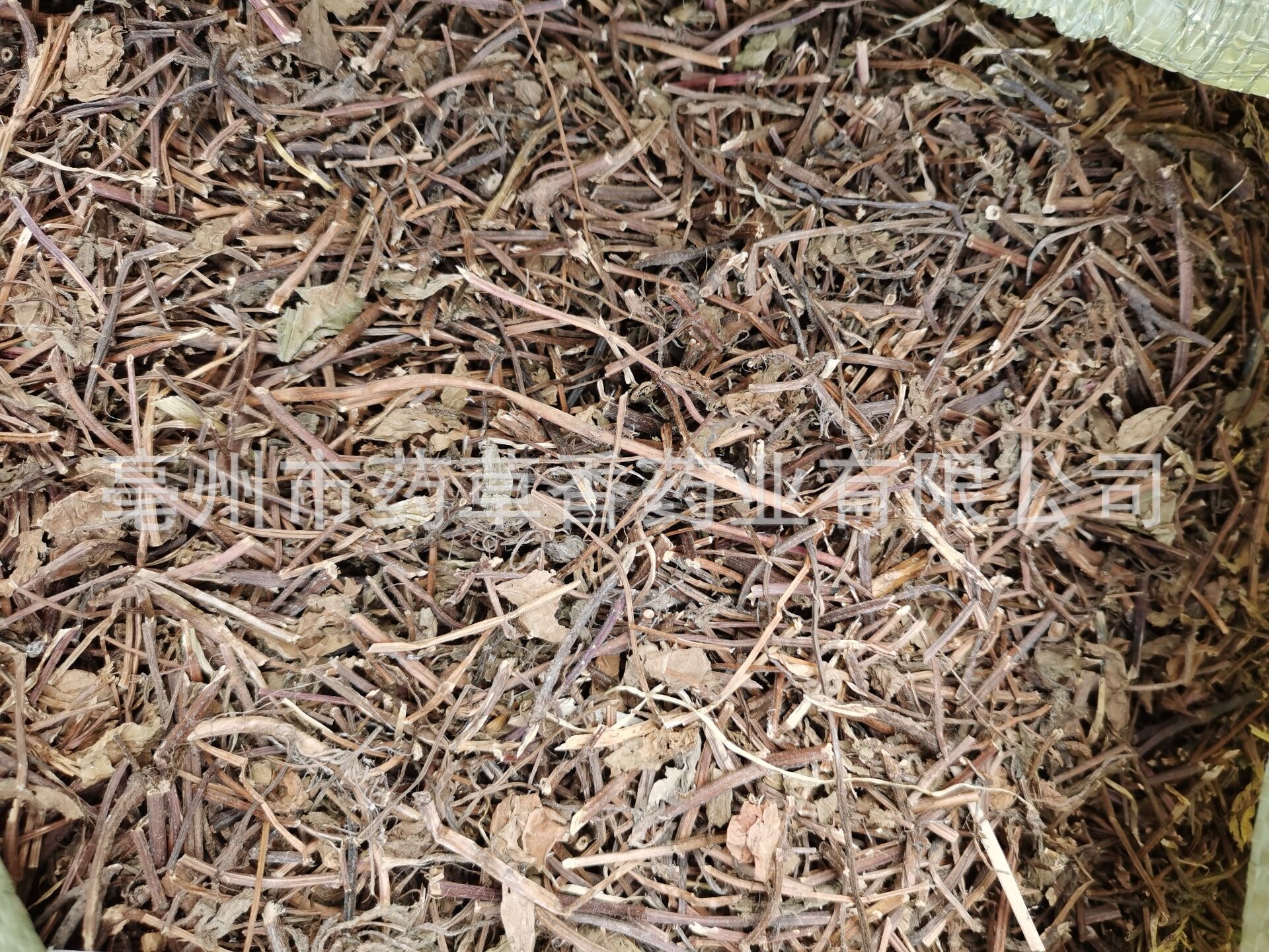 批发凉粉草 仙人草 仙人冻 仙草干 草本凉茶原料 产地直销凉粉草-阿里巴巴