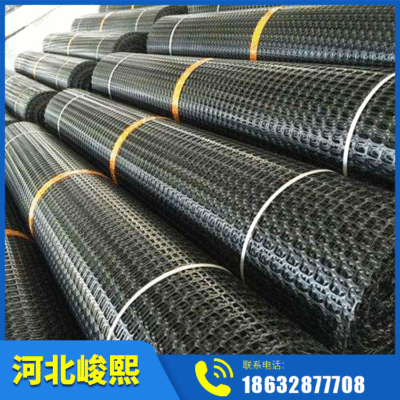 显昂矿用塑料阻燃格栅网 阻燃网片 煤矿井下防护网高强阻燃假顶网