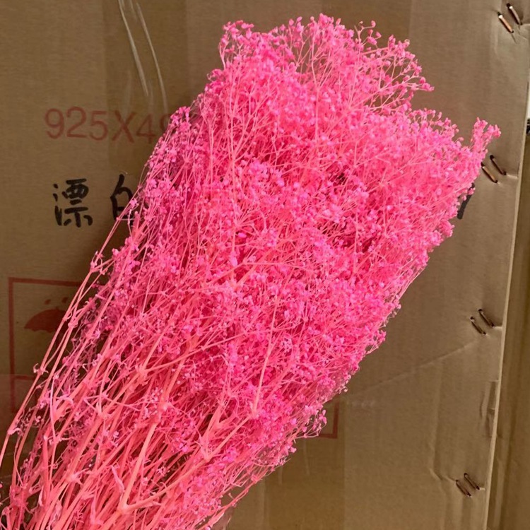 微信图片_20200128224619