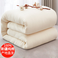 新疆棉花被棉絮全棉被子床墊冬被嬰兒棉被墊被褥子棉被芯廠家批發
